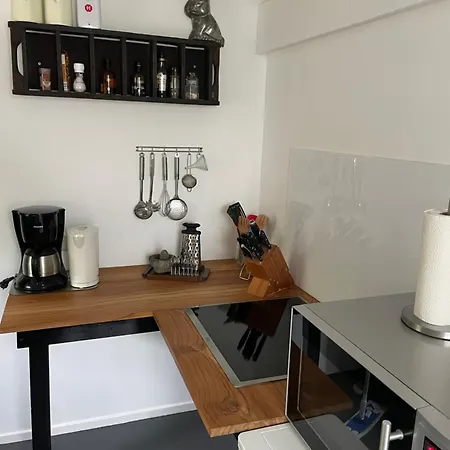 Texel Holiday home