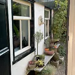Texel 우데쉴드